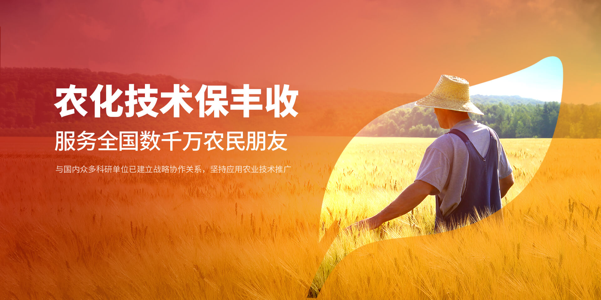 安陽樱桃AV免费网站新肥科技有限公司