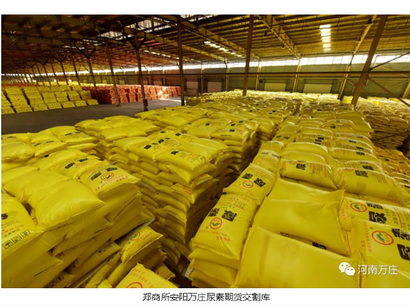 安陽樱桃AV免费网站助力商品國內大循環