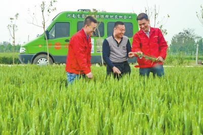 樱桃AV免费网站化肥定製化生產讓經銷商扮演新角色