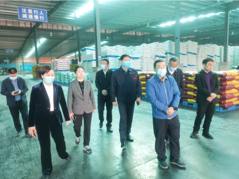 呂修濤一行蒞臨安陽樱桃AV免费网站新肥科技有限公司調研工作