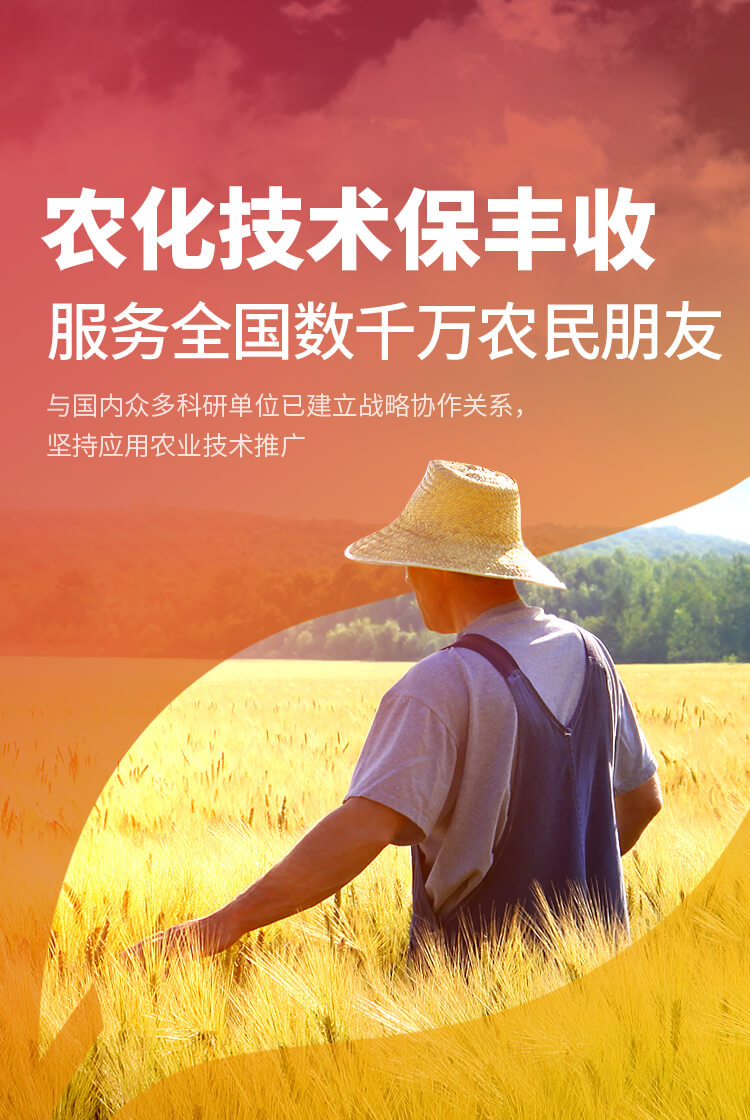 安陽樱桃AV免费网站新肥科技有限公司